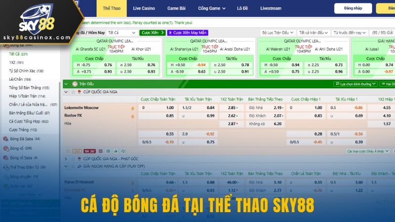 Cá độ bóng đá tại thể thao Sky88