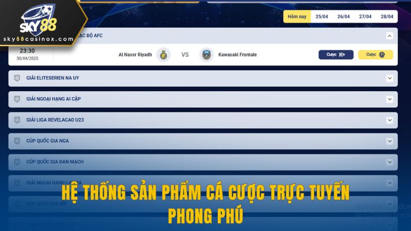 Hệ thống sản phẩm cá cược trực tuyến phong phú