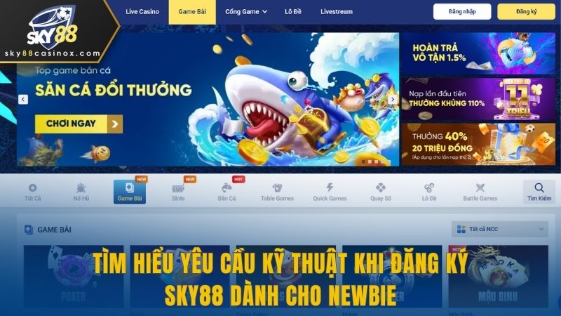 Tìm Hiểu Yêu Cầu Kỹ Thuật Khi Đăng Ký SKY88 Dành Cho Newbie